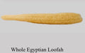 Whole Egyptian Loofah