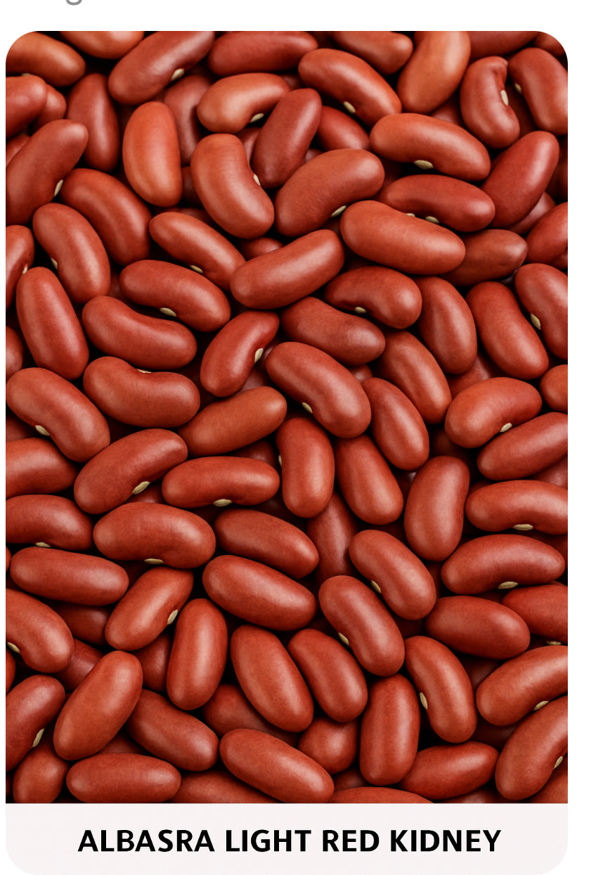 Albasra Light Red Kidney Bean 32oz